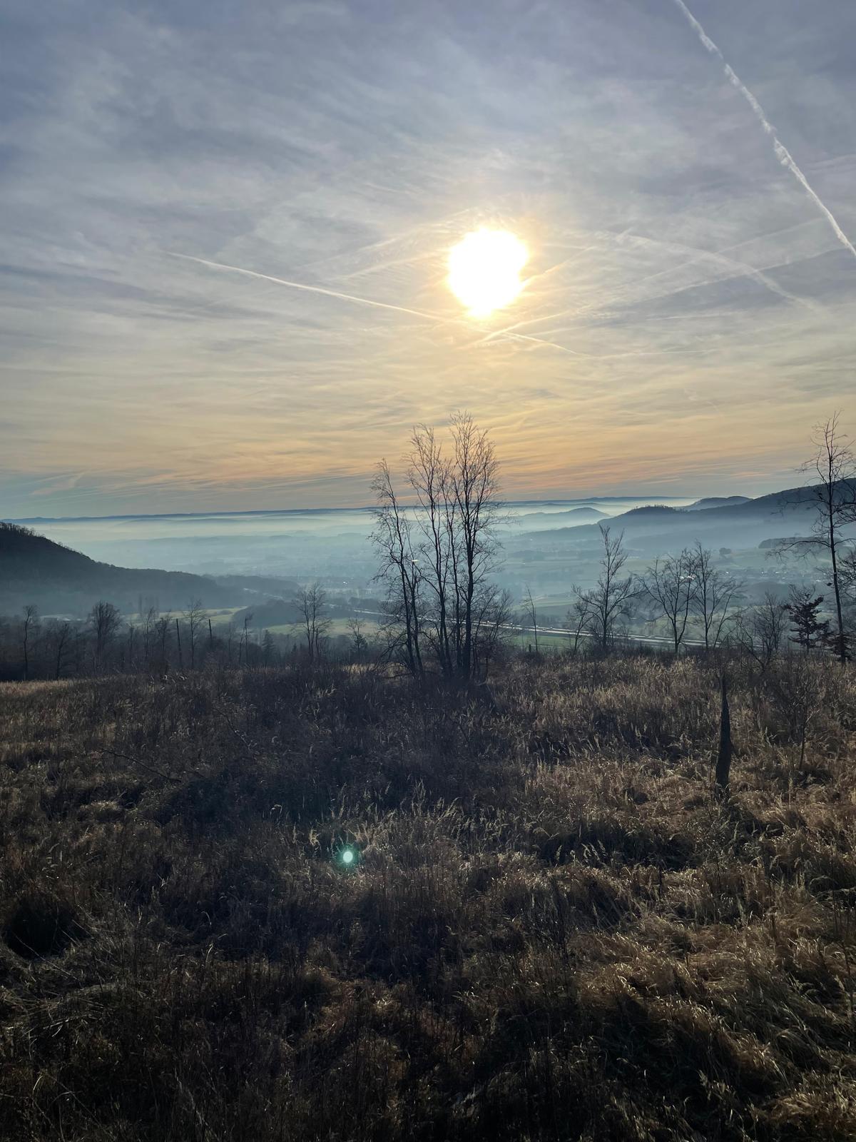 Musikzug-Winterwanderung 2025, von Elgershausen, über Hoof, zum Hohen Gras. Musikzug-Winterwanderung 2025, von Elgershausen, über Hoof, zum Hohen Gras.